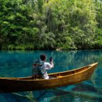 SpaceX Eyes 150 Mbps Per User for Enhanced Starlink Direct-to-Cell Service